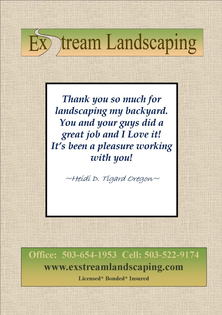 Customer quotes